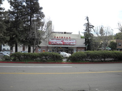 Auto Shop Frontage | Marin Automotive